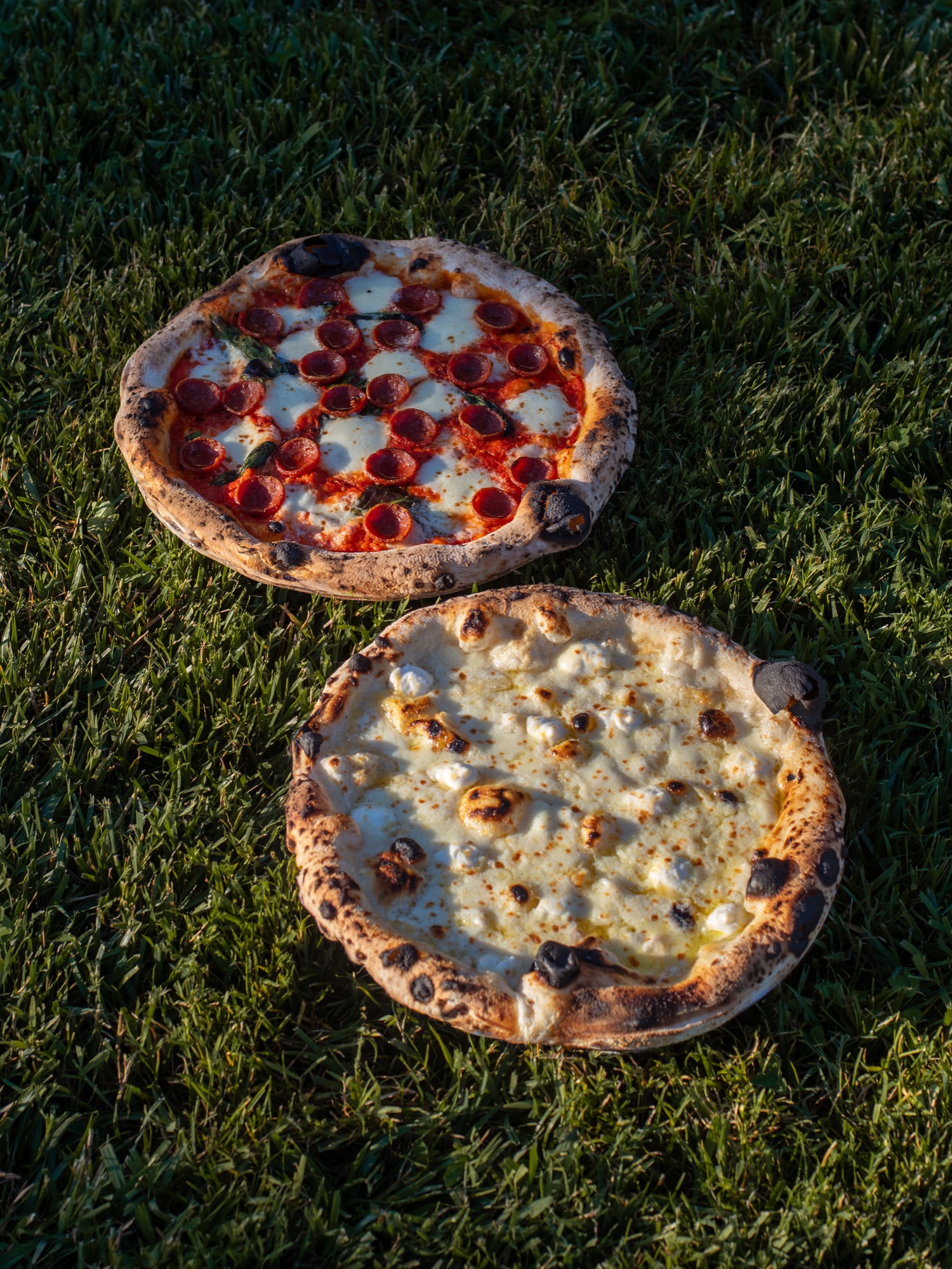 Two wood-fired pizzas on the grass at golden hour